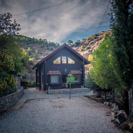 *2 bdr log house /mountains/Queen bed/fireplace Gourri Buitenkant foto